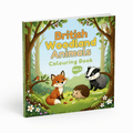 British Woodland Animals Colouring Book